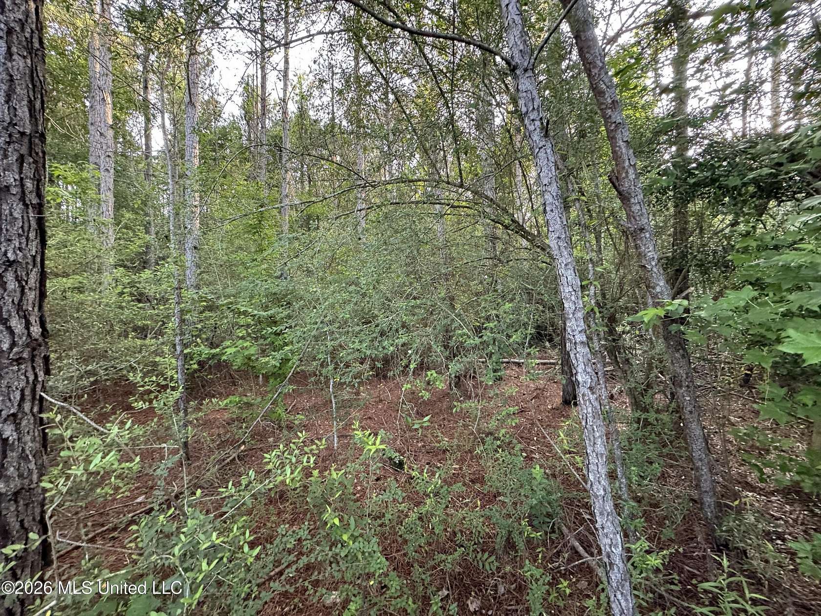 4 Acres of Residential Land for Sale in Summit, Mississippi