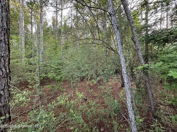 4 Acres of Residential Land for Sale in Summit, Mississippi