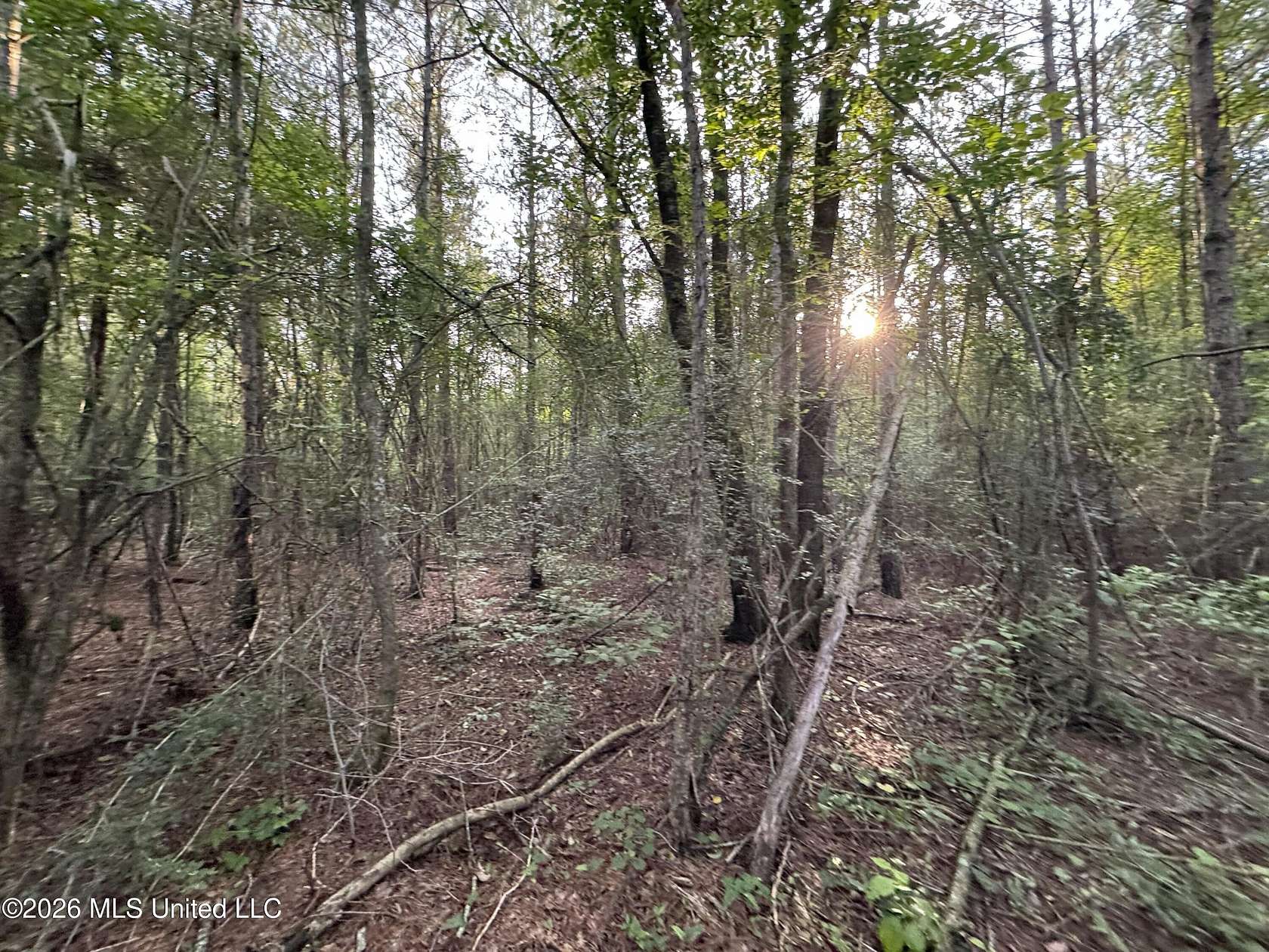 4 Acres of Residential Land for Sale in Summit, Mississippi