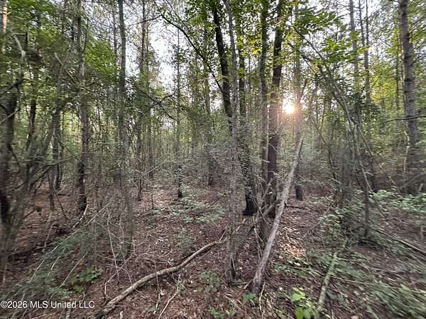 4 Acres of Residential Land for Sale in Summit, Mississippi