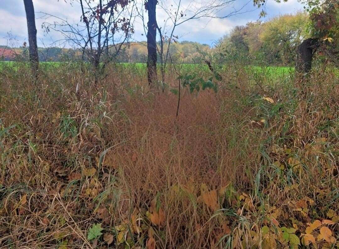 4.3 Acres of Residential Land for Sale in Sand Lake, Michigan