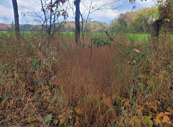 4.3 Acres of Residential Land for Sale in Sand Lake, Michigan