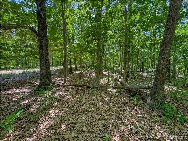 5.1 Acres of Residential Land for Sale in Camdenton, Missouri