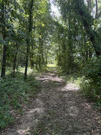 9.4 Acres of Residential Land for Sale in Albion, Michigan