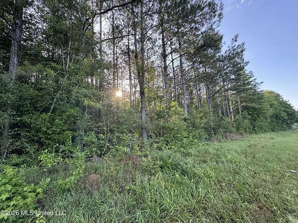 4 Acres of Residential Land for Sale in Summit, Mississippi