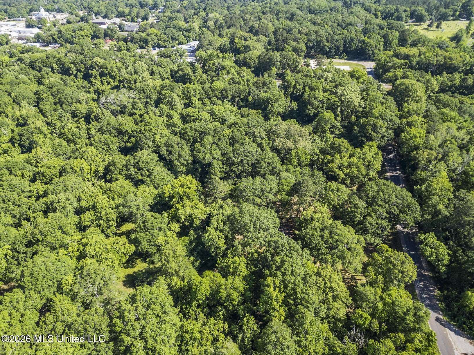 17.9 Acres of Land for Sale in Mendenhall, Mississippi