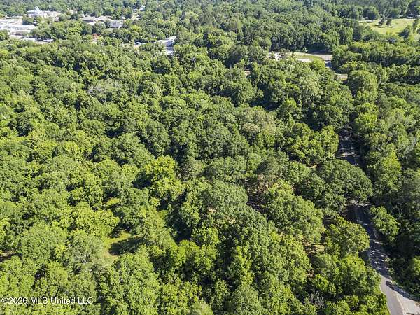 17.9 Acres of Land for Sale in Mendenhall, Mississippi