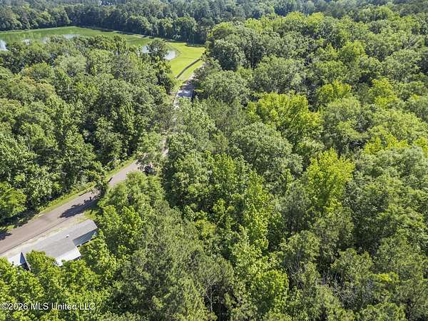 21 Acres of Land for Sale in Mendenhall, Mississippi
