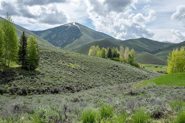 1.39 Acres of Land for Sale in Hailey, Idaho