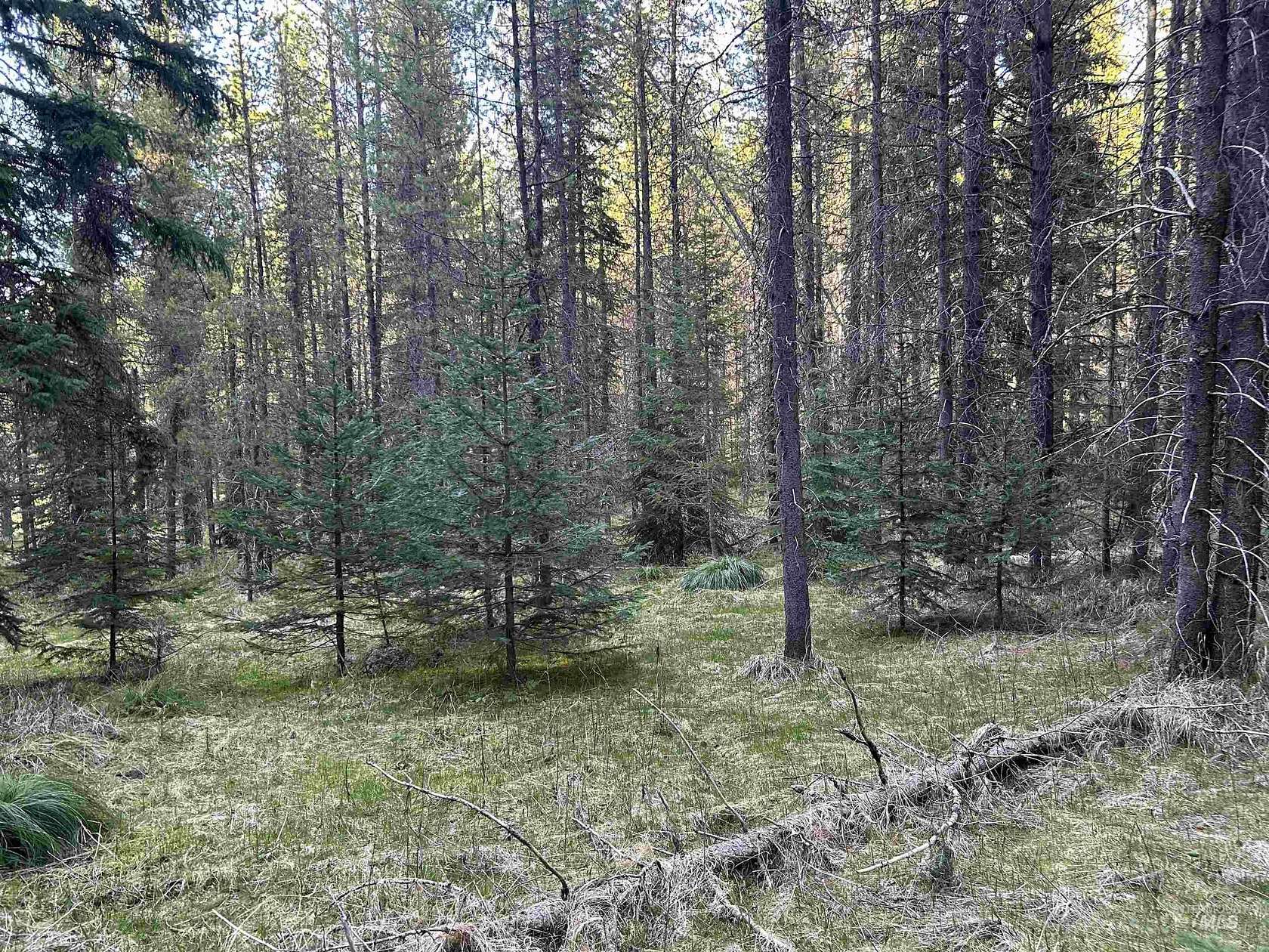 14 Acres of Recreational & Residential Land for Sale in Elk City, Idaho