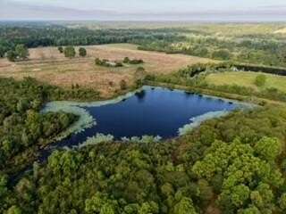 226 Acres of Land with Home for Sale in Laurel Hill, Florida
