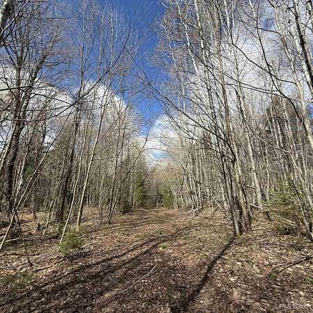 40 Acres of Land for Sale in Bessemer, Michigan