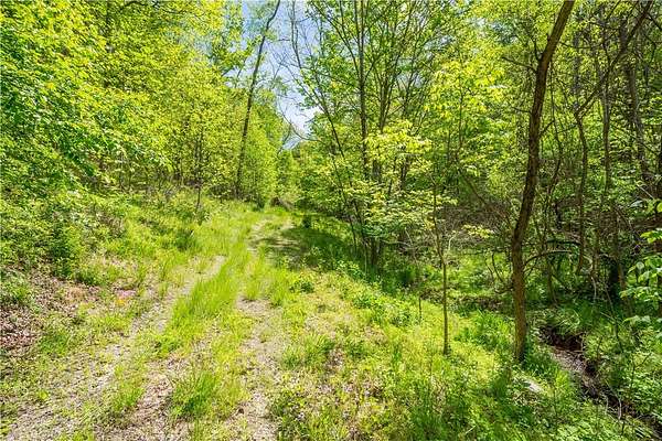 83.2 Acres of Land for Sale in Claysville, Pennsylvania