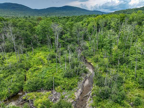 11.5 Acres of Land for Sale in Weld, Maine