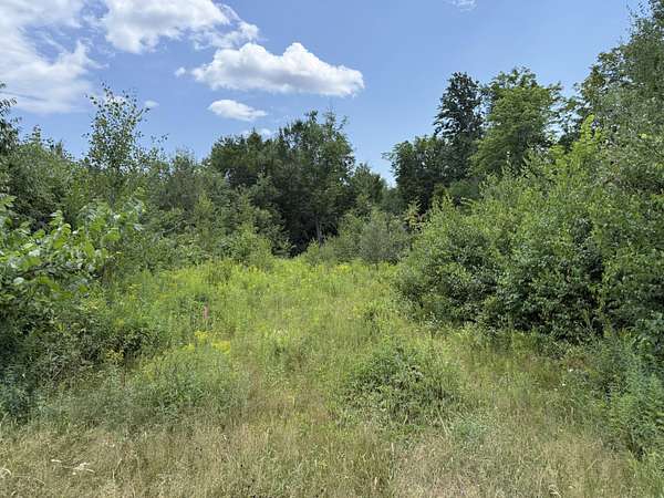 8.56 Acres of Residential Land for Sale in Weld, Maine