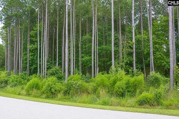 0.68 Acres of Residential Land for Sale in Leesville, South Carolina