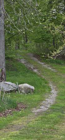 17.4 Acres of Recreational & Residential Land for Sale in Manitou Beach, Michigan