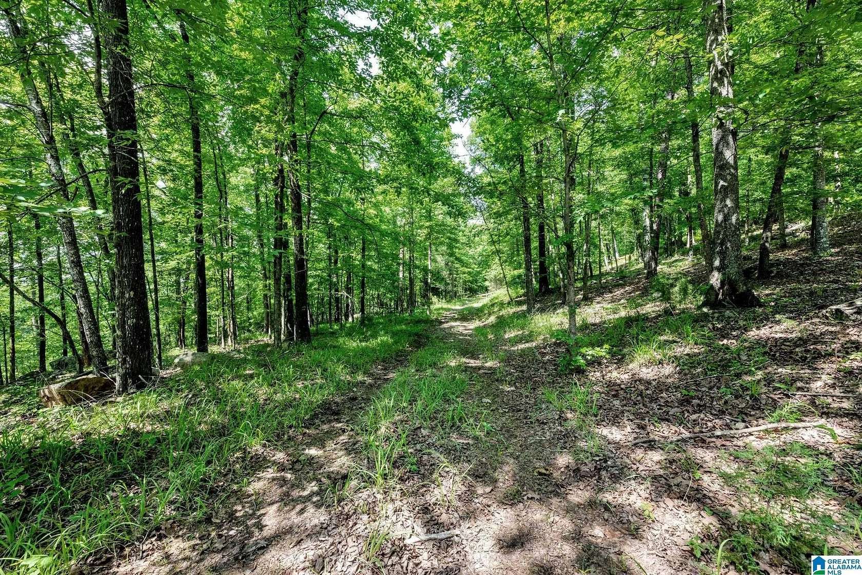 10.5 Acres of Land for Sale in Pelham, Alabama