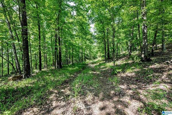 10.5 Acres of Land for Sale in Pelham, Alabama
