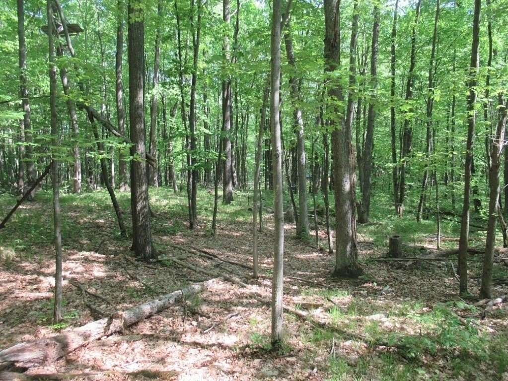 0.27 Acres of Residential Land for Sale in Harrison, Michigan