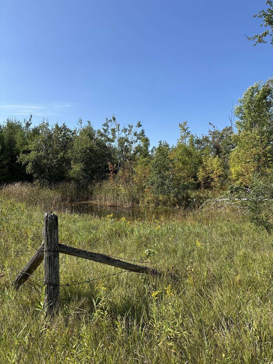 68.2 Acres of Land for Sale in Lachine, Michigan