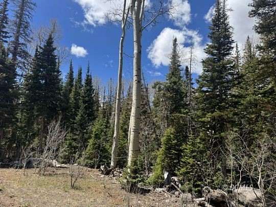 0.38 Acres of Residential Land for Sale in Brian Head, Utah