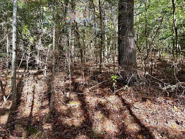 0.68 Acres of Residential Land for Sale in Murphy, North Carolina