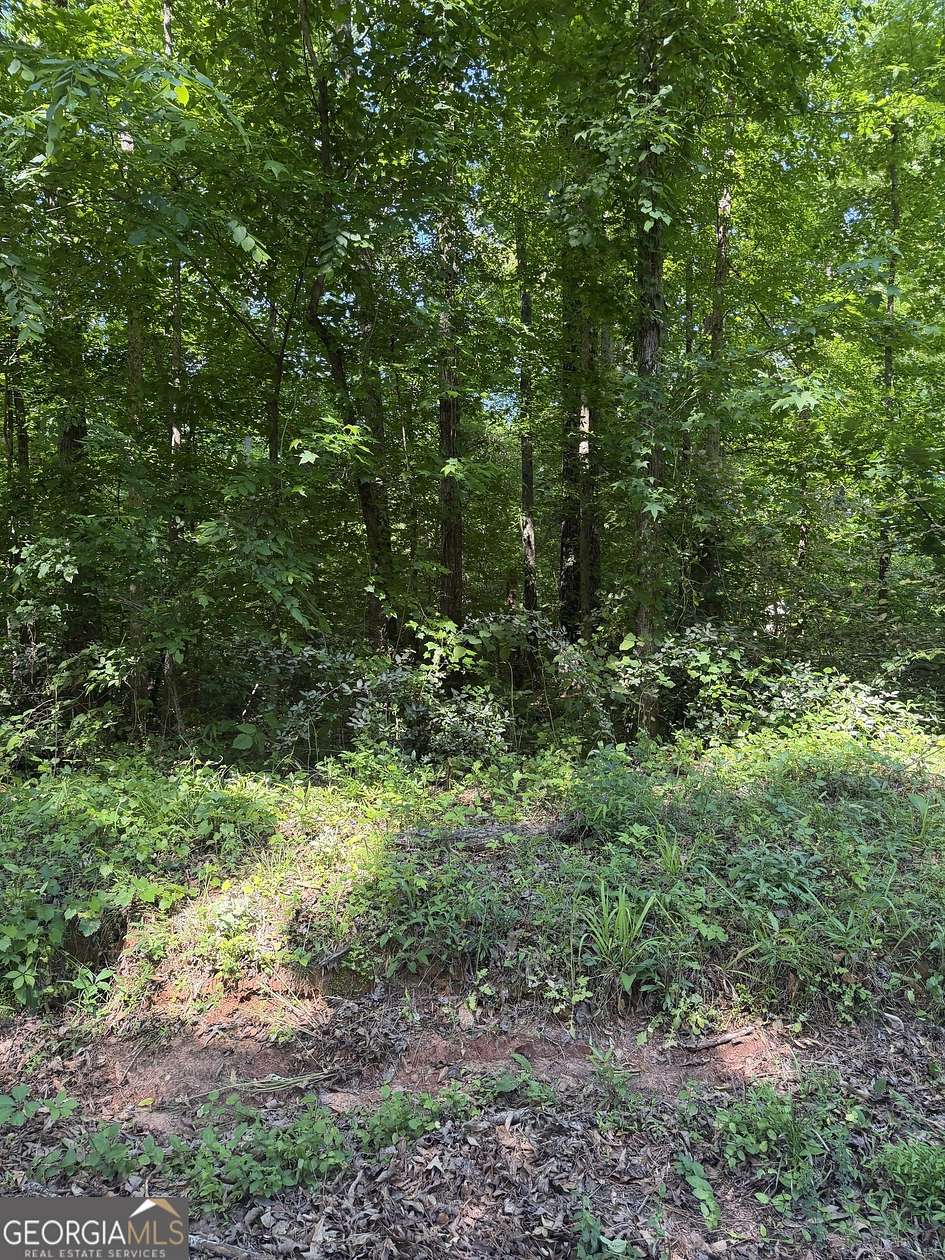 0.14 Acres of Land for Sale in Jackson, Georgia