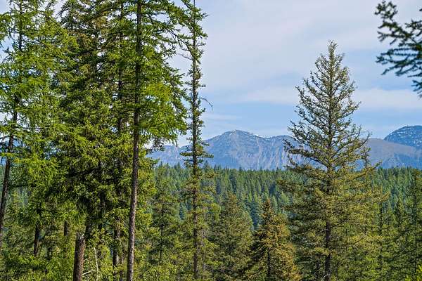 1 Acre of Residential Land for Sale in Bigfork, Montana