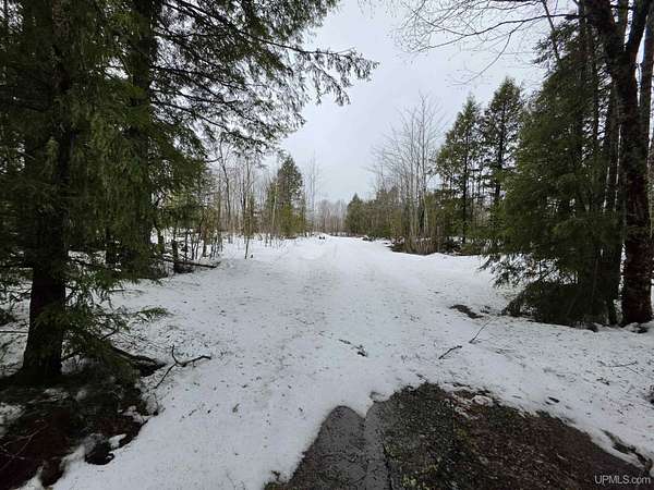 40 Acres of Recreational & Residential Land for Sale in Covington, Michigan