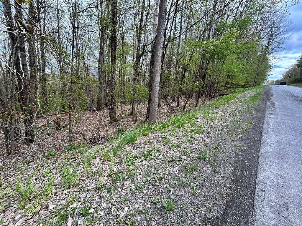 6.12 Acres of Residential Land for Sale in Laurens, New York