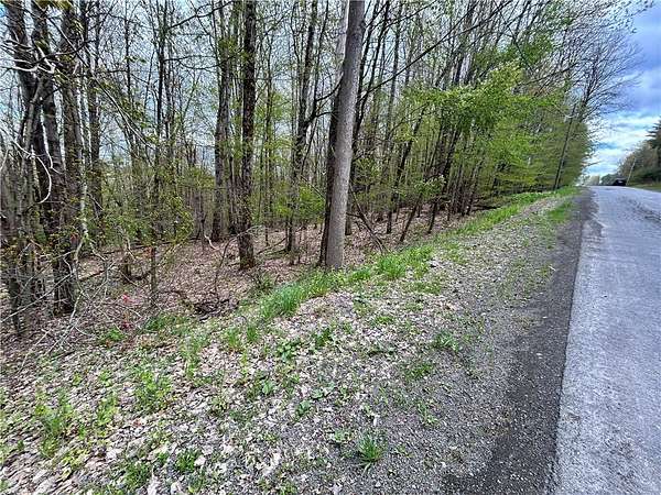 6.12 Acres of Residential Land for Sale in Laurens, New York