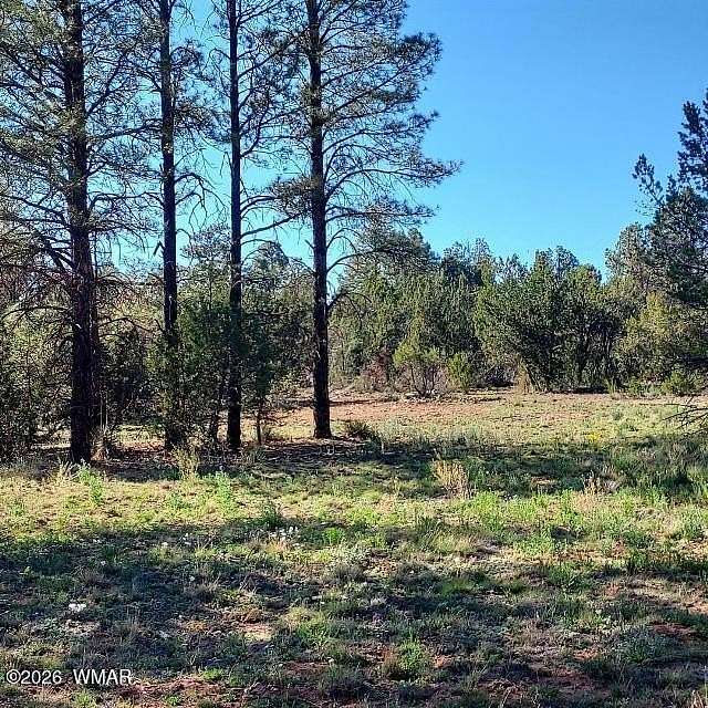 2.17 Acres of Residential Land for Sale in Overgaard, Arizona