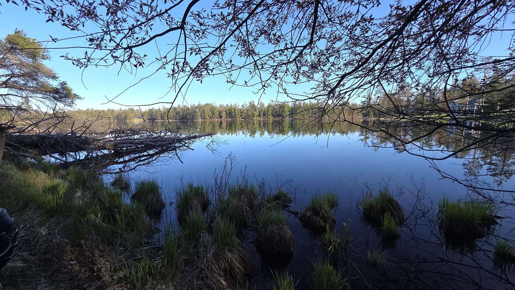 20 Acres of Recreational & Residential Land for Sale in Lewiston, Michigan