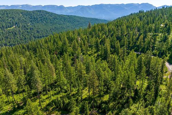 1 Acre of Residential Land for Sale in Bigfork, Montana