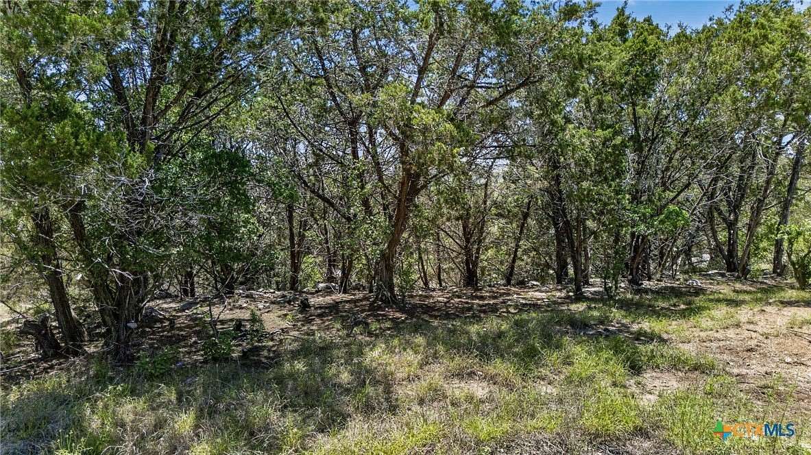 1 Acre of Residential Land for Sale in Canyon Lake, Texas