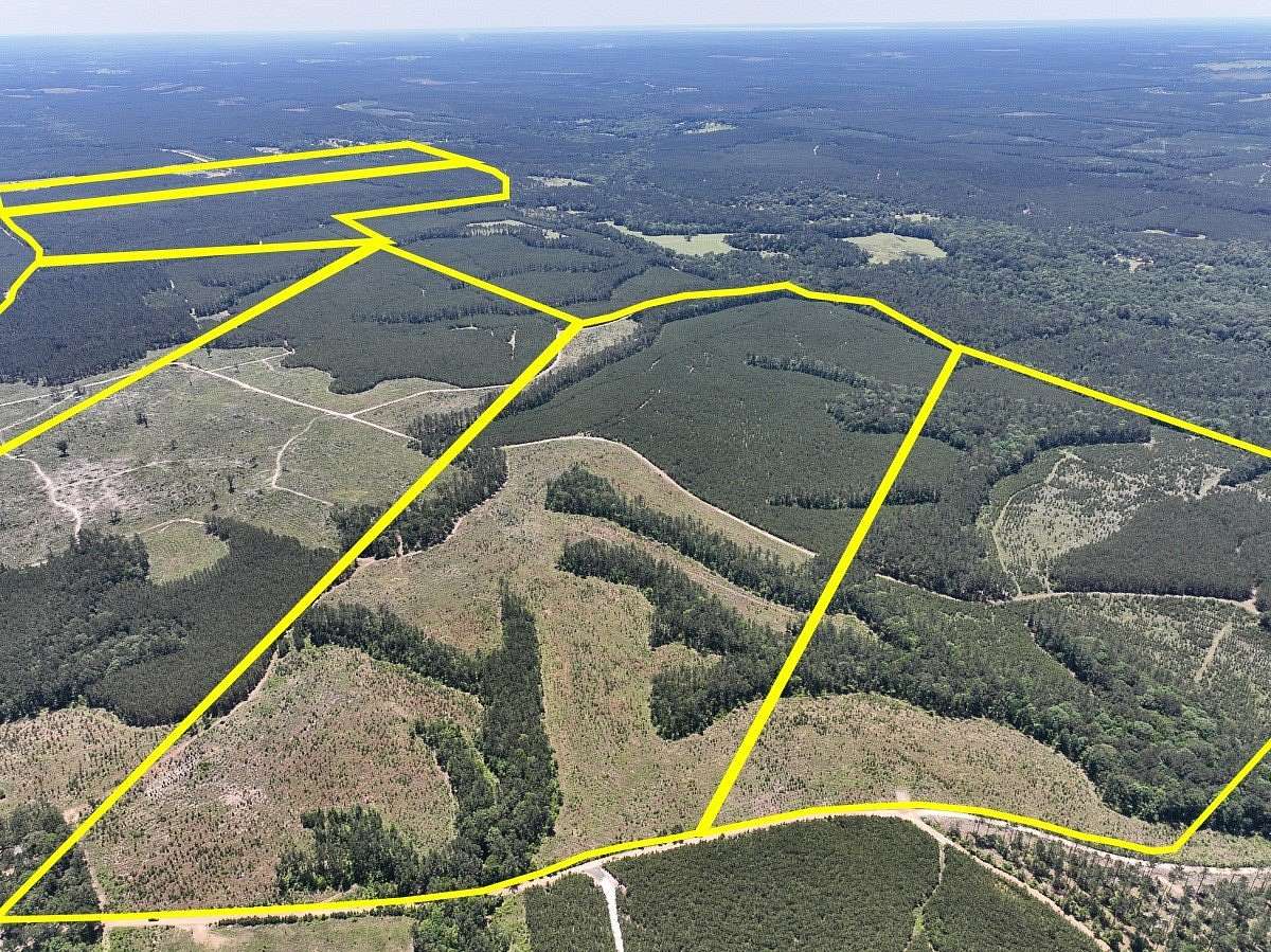 183 Acres of Recreational Land for Sale in Corrigan, Texas