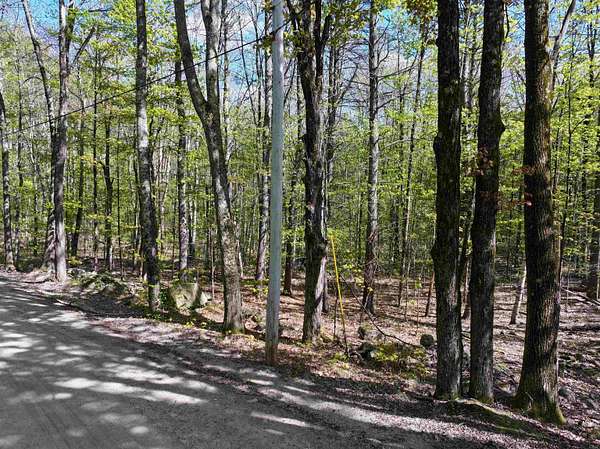 15.5 Acres of Land for Sale in Weare, New Hampshire