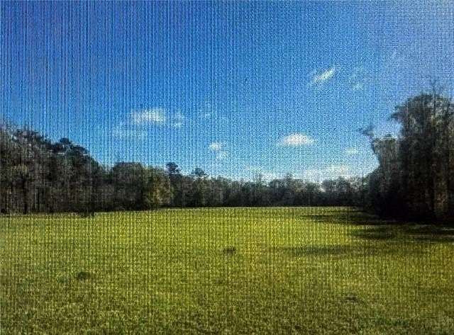 10.6 Acres of Land for Sale in Independence, Louisiana