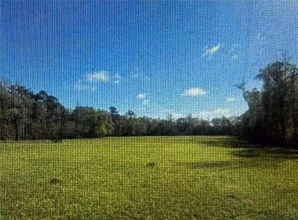 10.6 Acres of Land for Sale in Independence, Louisiana