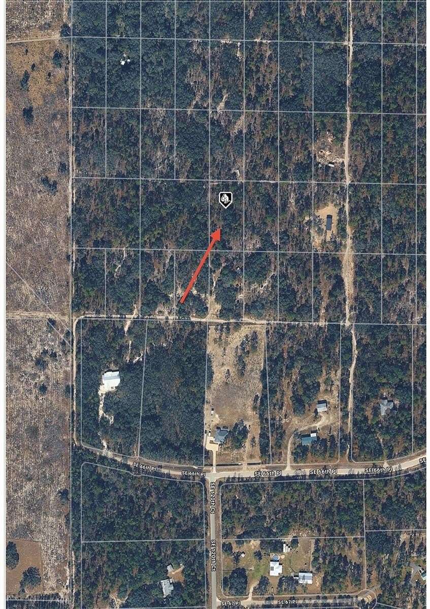 1.25 Acres of Residential Land for Sale in Morriston, Florida