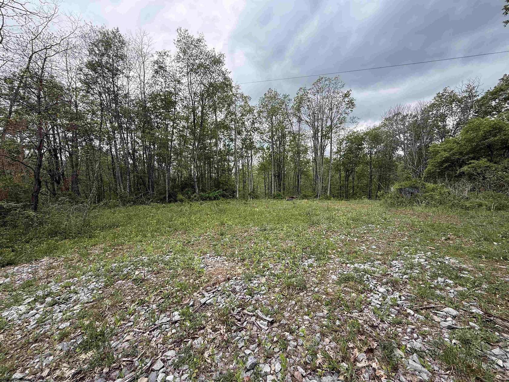 48.2 Acres of Land for Sale in Valley Head, West Virginia