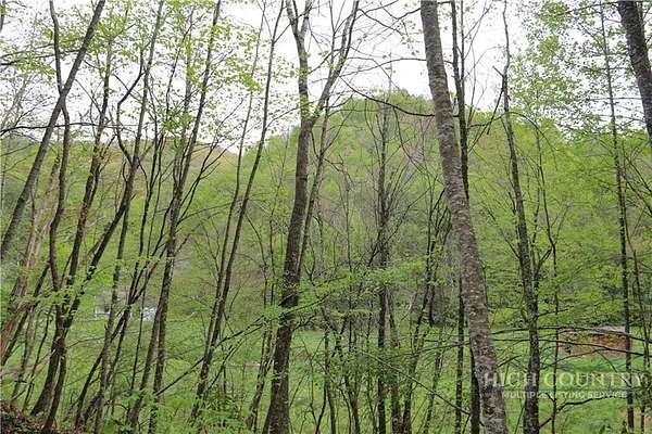 32 Acres of Recreational Land for Sale in Creston, North Carolina
