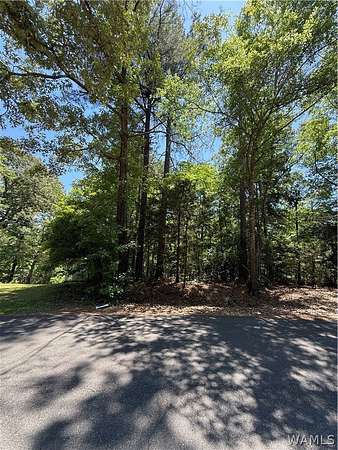 0.51 Acres of Residential Land for Sale in Cottondale, Alabama