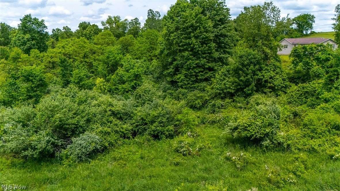 17.8 Acres of Land for Sale in Belmont, Ohio