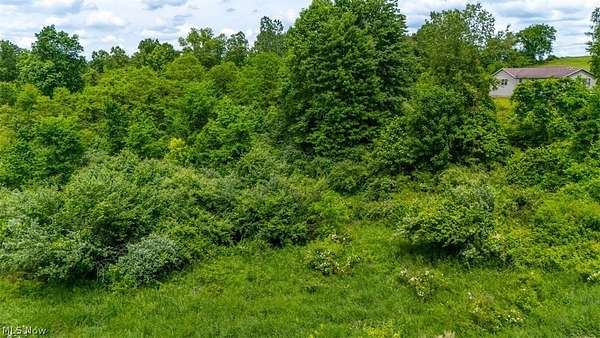 17.8 Acres of Land for Sale in Belmont, Ohio