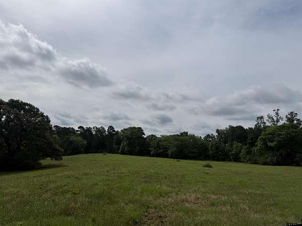 60.3 Acres of Land for Sale in Jacksonville, Texas