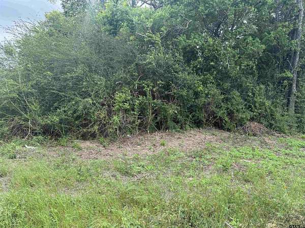 108 Acres of Recreational & Residential Land for Sale in Jacksonville, Texas