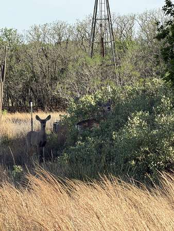 226 Acres of Land for Sale in Turkey, Texas
