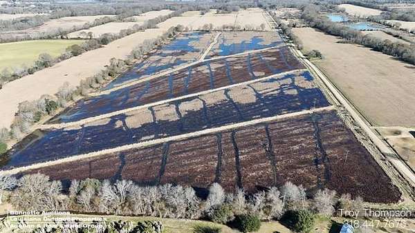 52.5 Acres of Land for Sale in Washington, Louisiana